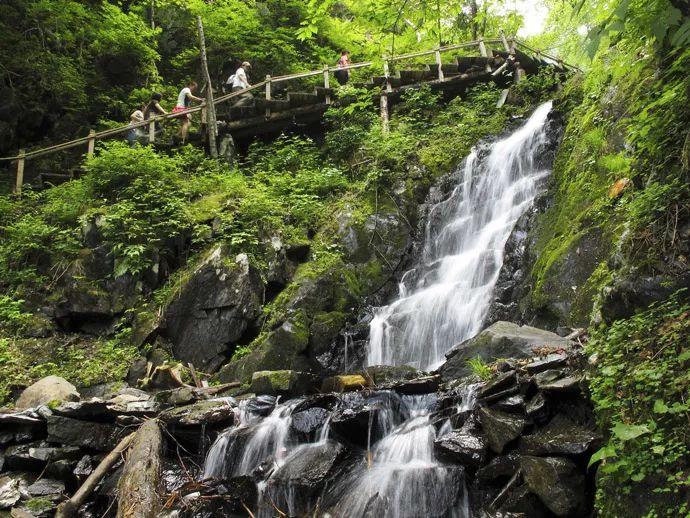 康华生物:王振滔累计质押股数约为1351万股,占比57.3%